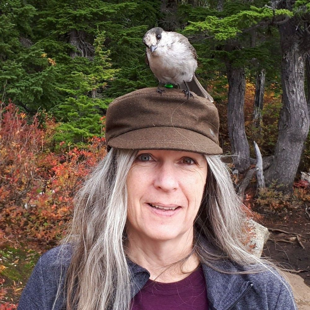 Meet your Posher, Connie